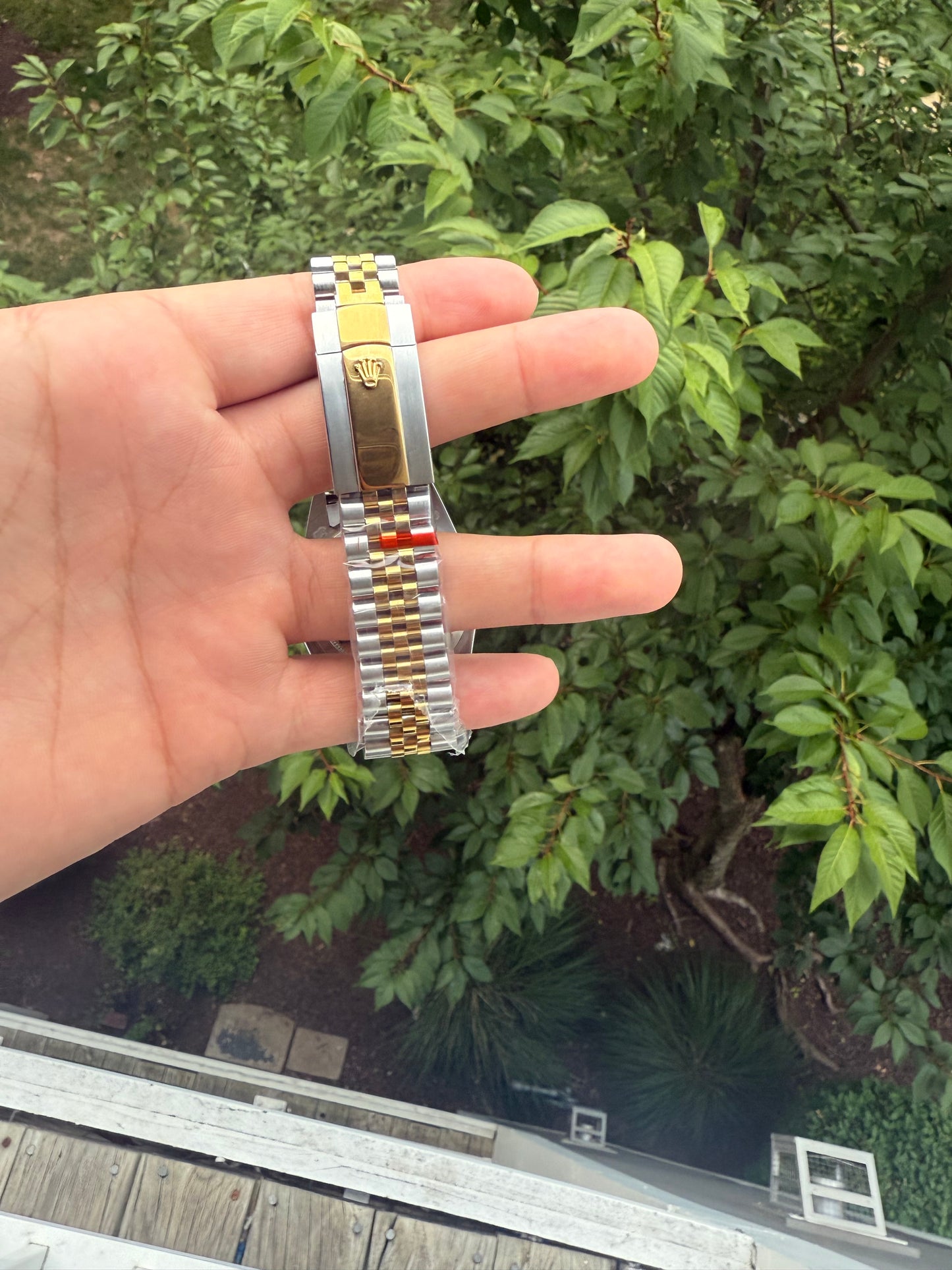 Luxury watch