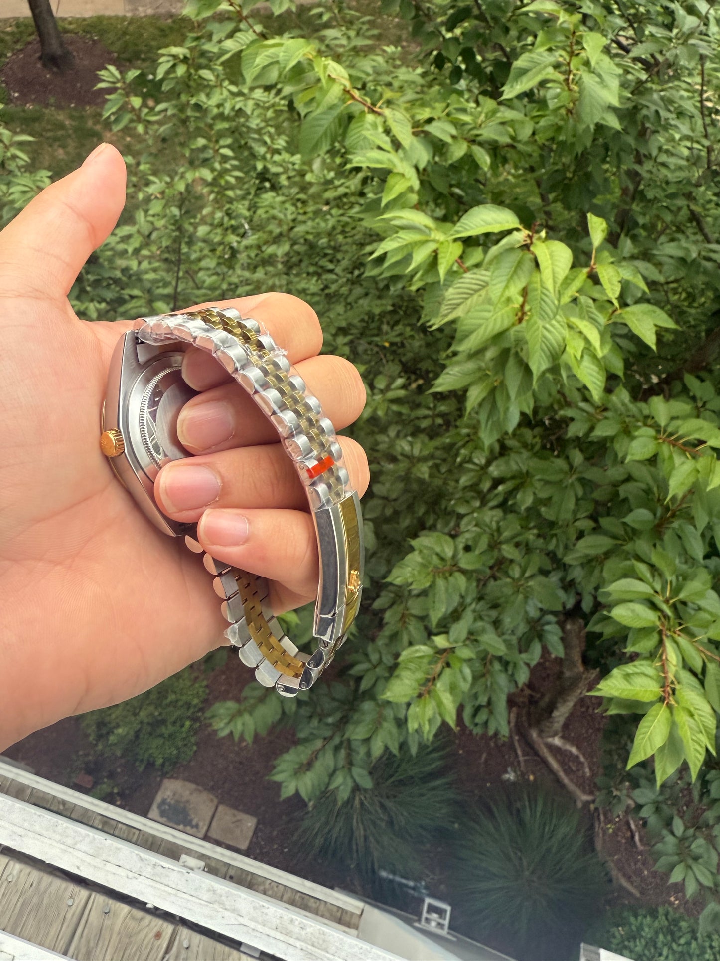 Luxury watch