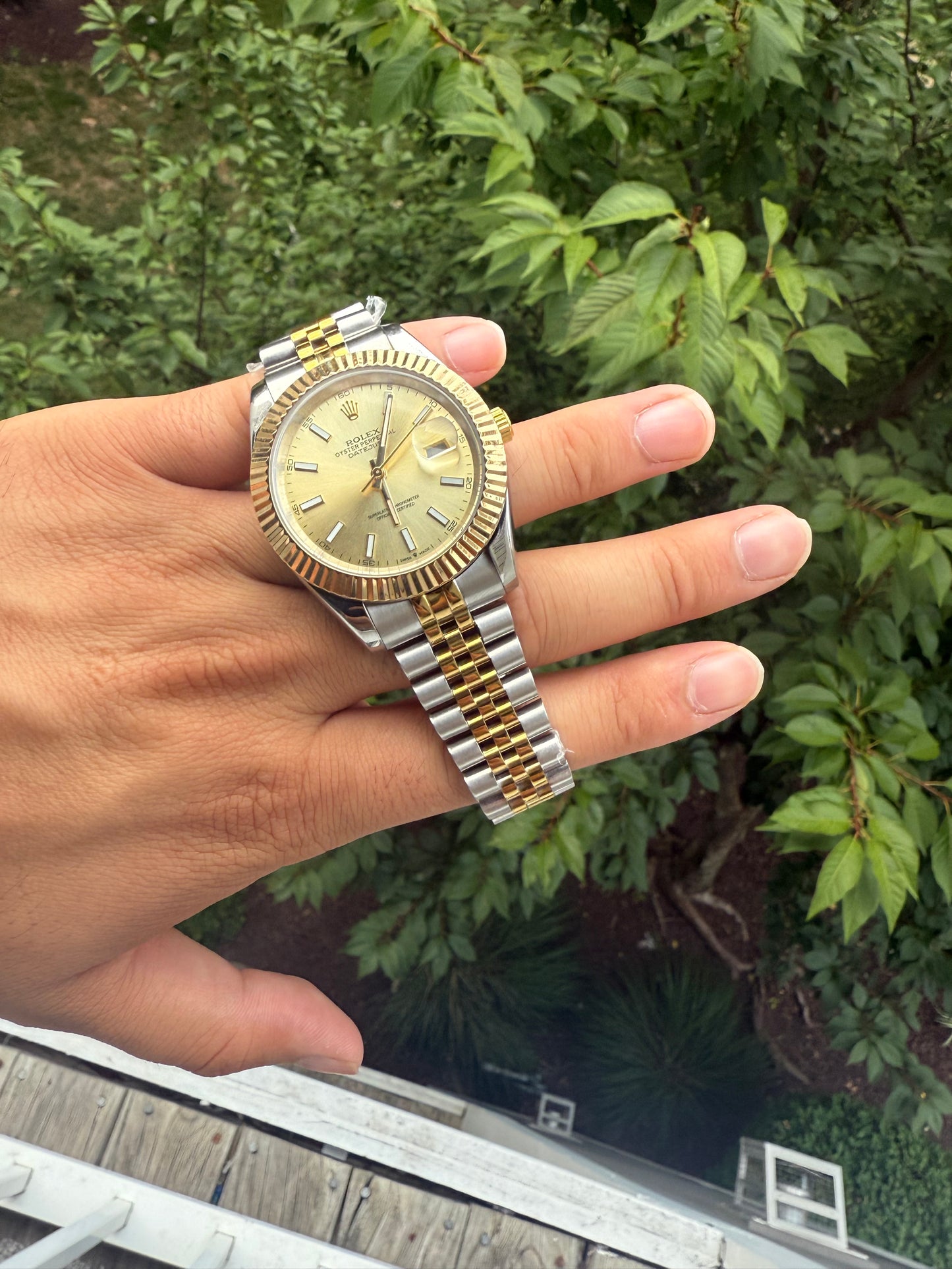 Luxury watch